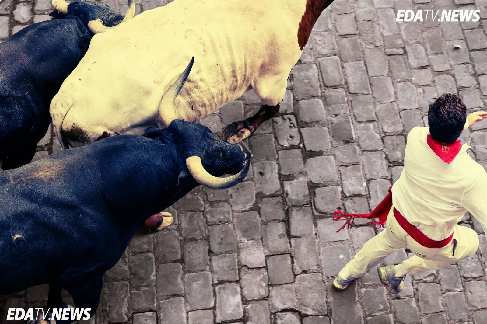 Los Miura dejan un séptimo encierro rápido y con momentos de tensión en San Fermín 2026