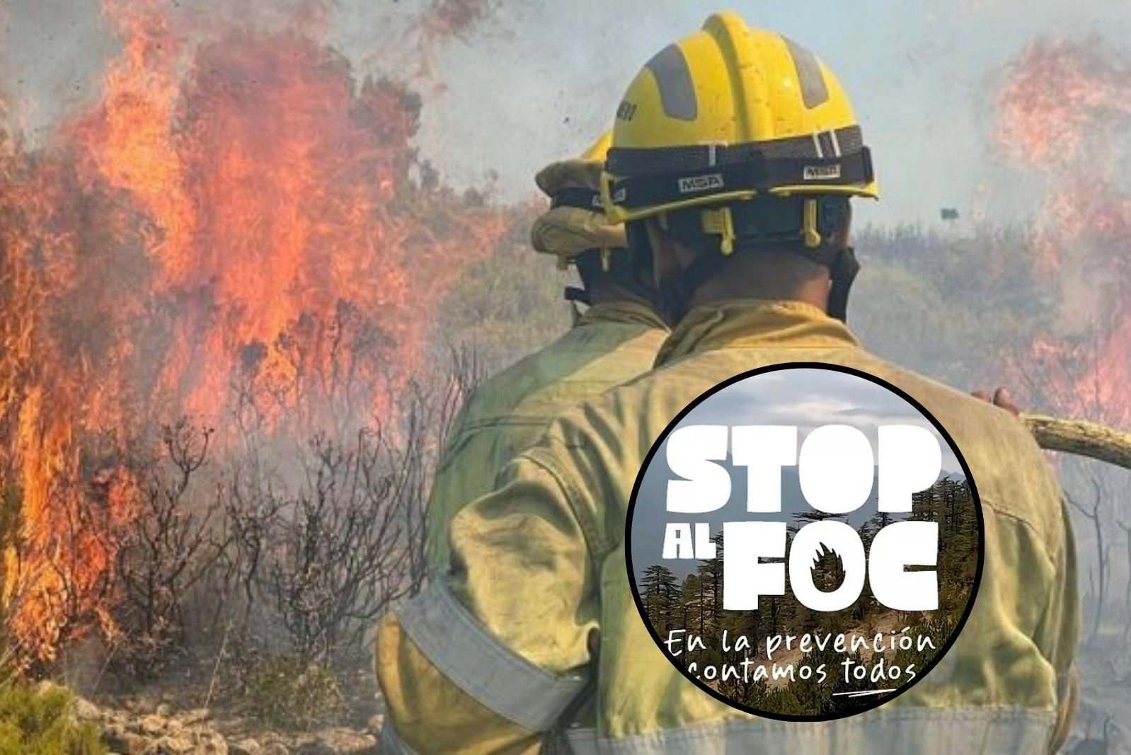 Semana Santa sin fuego: así es el dispositivo Stop al Foc 2026 para proteger los montes valencianos