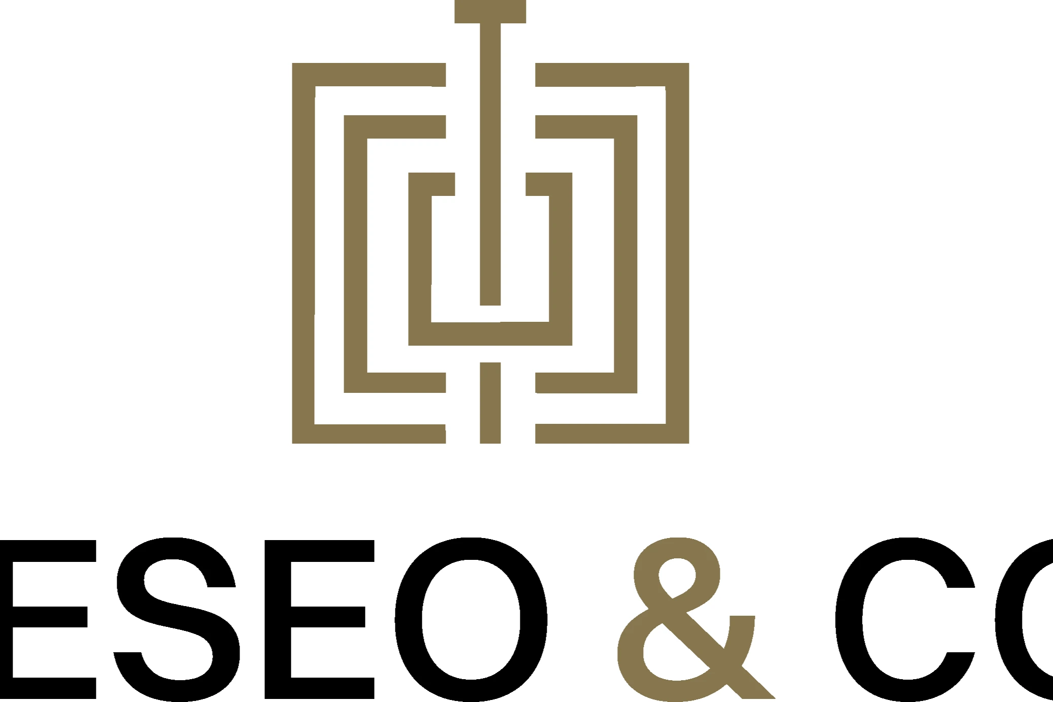 Teseo & Co. refuerza su accionariado y pasa a operar con marca propia