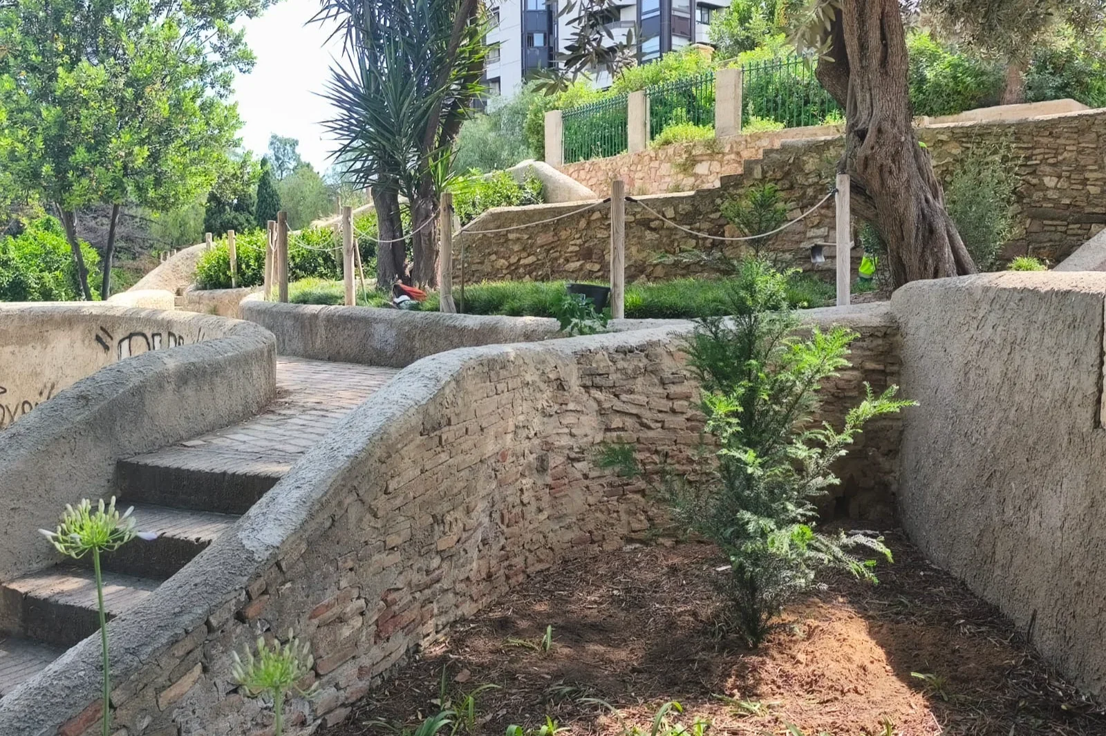 La Generalitat y el Ayuntamiento de Valencia impulsan la recuperación del tejo en los Jardines del Real