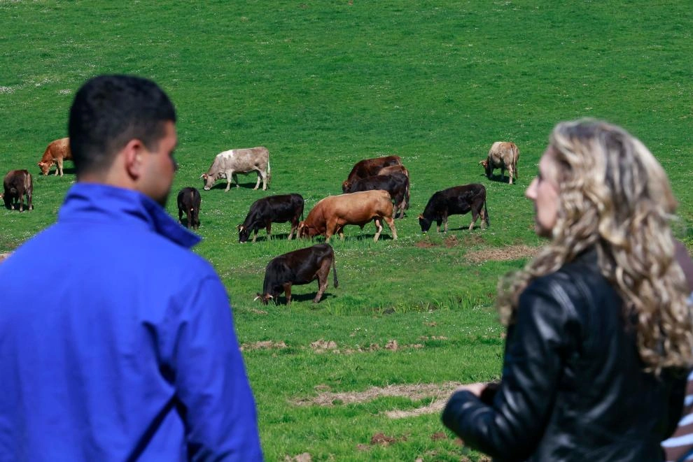 La Xunta invertirá 53 millones de euros para atraer a jóvenes al sector agrícola y modernizar sus explotaciones