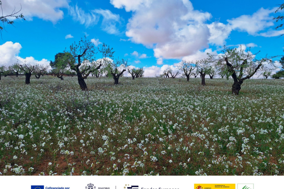 Nace el proyecto ESIL para impulsar la bioeconomía y los servicios ecosistémicos en Castilla-La Mancha