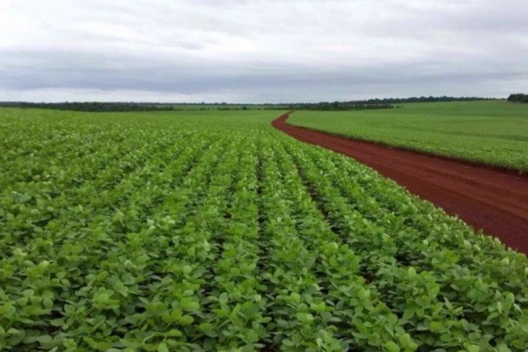 Aragón inyecta 18,5 millones al campo y la agroindustria para impulsar empleo e inversión