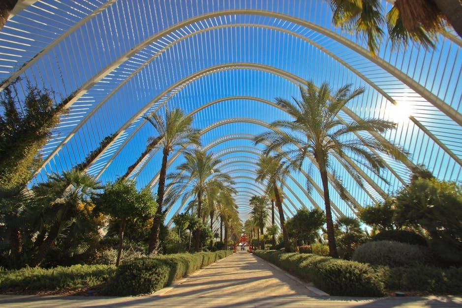 Valencia lidera el ranking de las ciudades más
saludables de España, según un estudio de
Altezza Travel