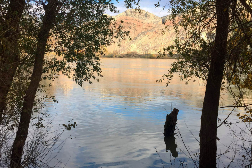 Aragón impulsa la modernización del regadío tradicional del Ebro y el jalón para garantizar su futuro