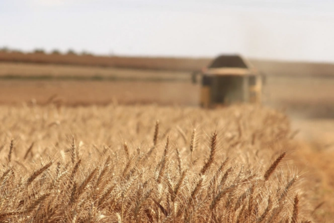 La Junta de Castilla y León impulsa la formación agraria con un millón de euros para más de 8.400 alumnos